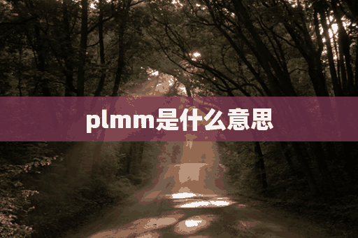 plmm是什么意思(plmm是什么意思网络用语)